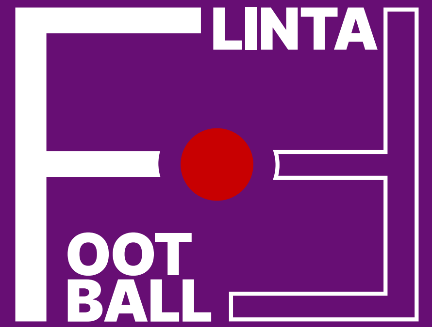 FLINTA Football – Voetbal