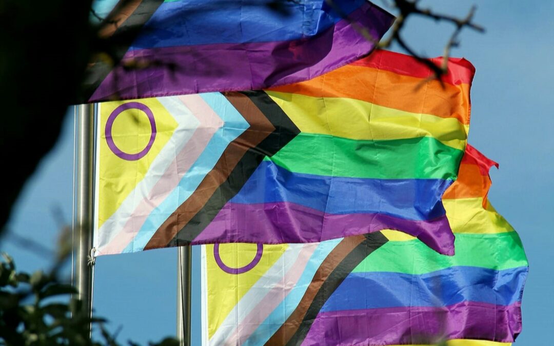 Pride and Sports verenigt Team Netherlands voor Gay Games Valencia 2026: Eén Oranje-gevoel van openingsceremonie tot kleding 